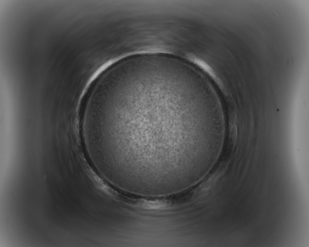 X0000086761460200704201736
