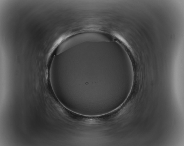 X0000086761461200704201736
