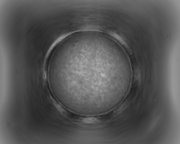X0000086761462200704201736