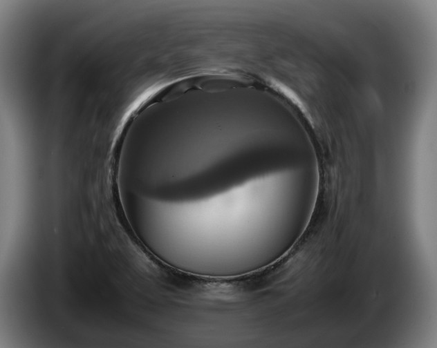 X0000086761463200704201736