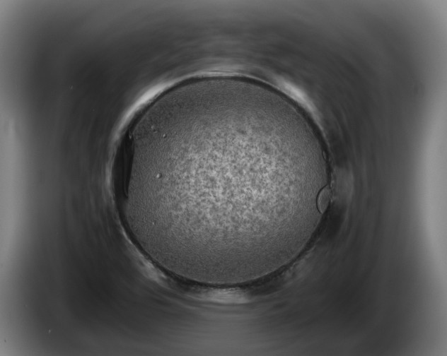 X0000086761464200704201735