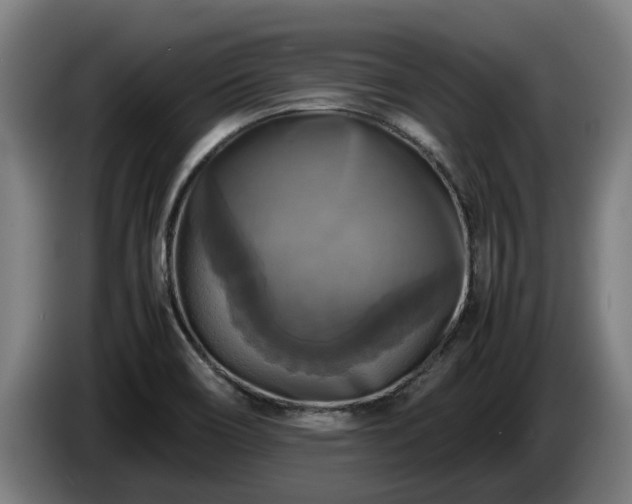 X0000086761466200704201735