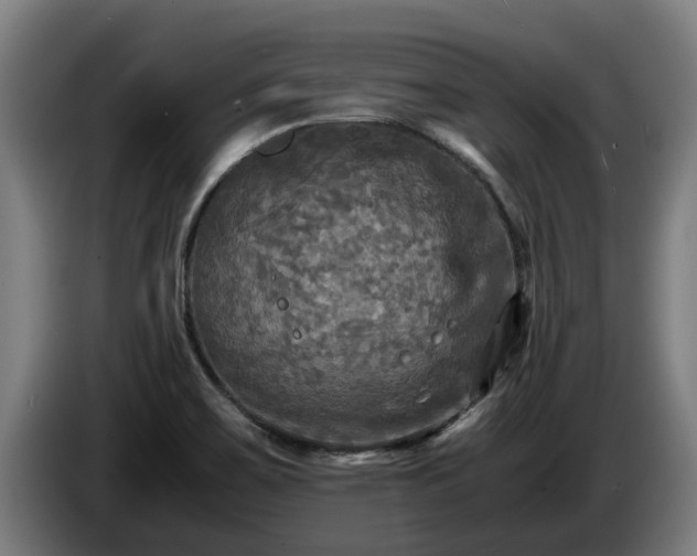 X0000086761467200704201735