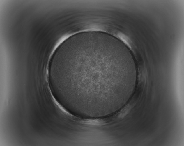 X0000086761468200704201735