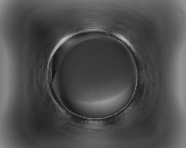X0000086761469200704201735