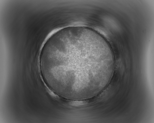 X0000086761470200704201735