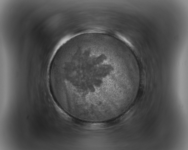 X0000086761471200704201735
