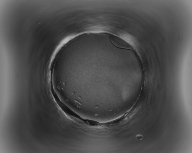 X0000086761472200704201735