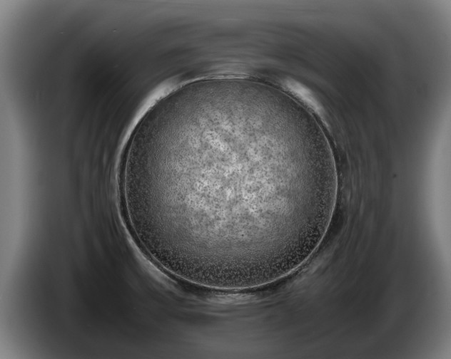 X0000086761475200704201735