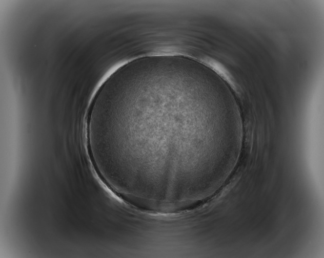 X0000086761476200704201735