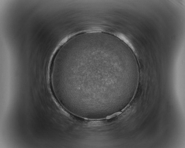 X0000086761477200704201735