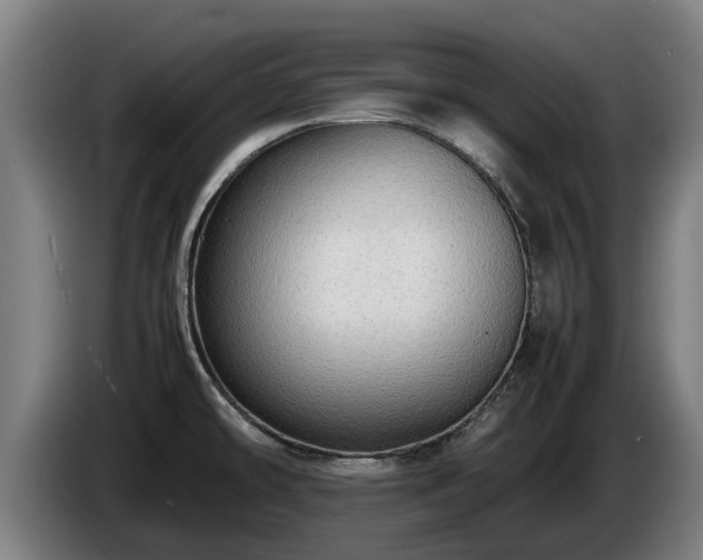 X0000086761478200704201735