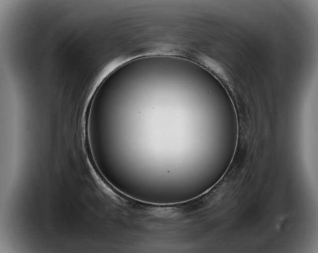 X0000086761479200704201735