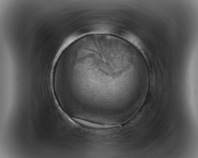 X0000086761480200704201735