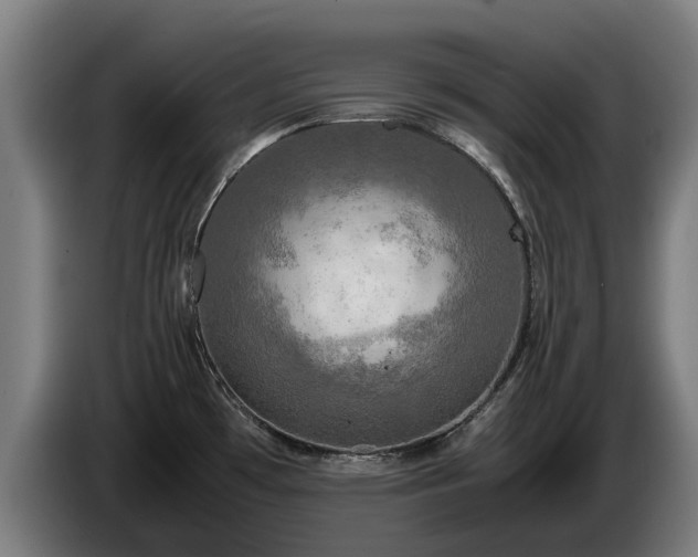 X0000086761481200704201735