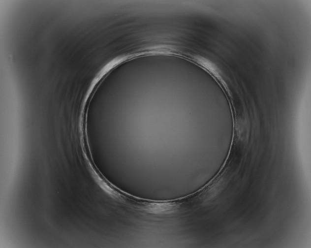 X0000086761482200704201735
