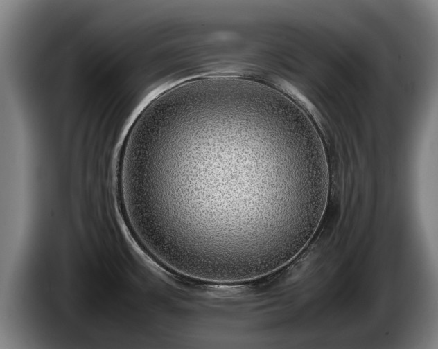 X0000086761483200704201735