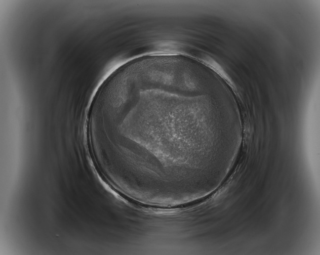 X0000086761484200704201735
