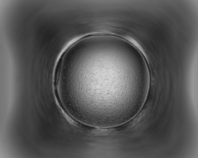 X0000086761485200704201735
