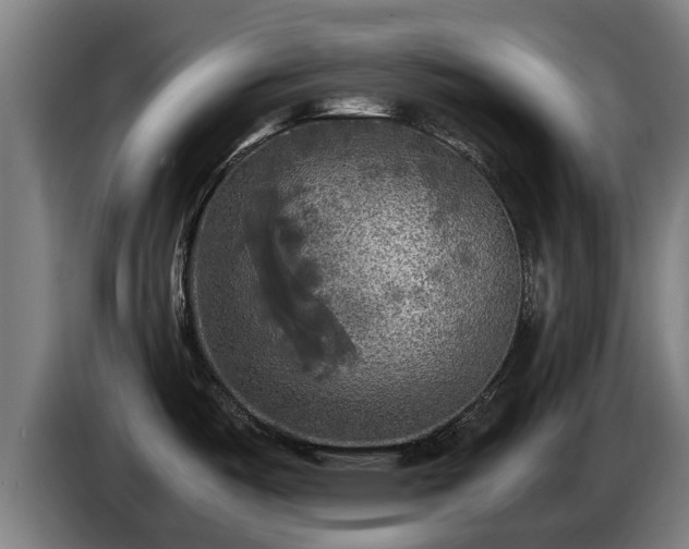 X0000086761487200704201735