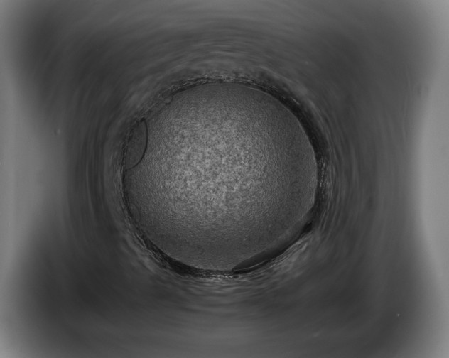 X0000086761489200704201735