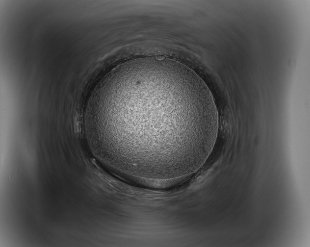 X0000086761490200704201735