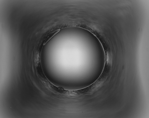 X0000086761492200704201735