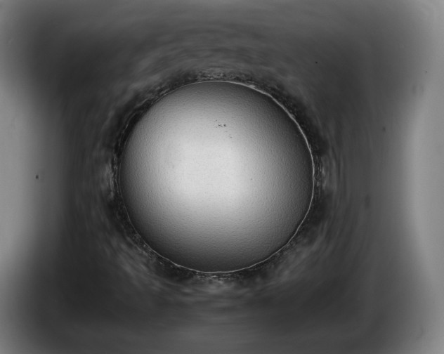 X0000086761493200704201735