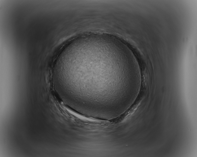 X0000086761494200704201735