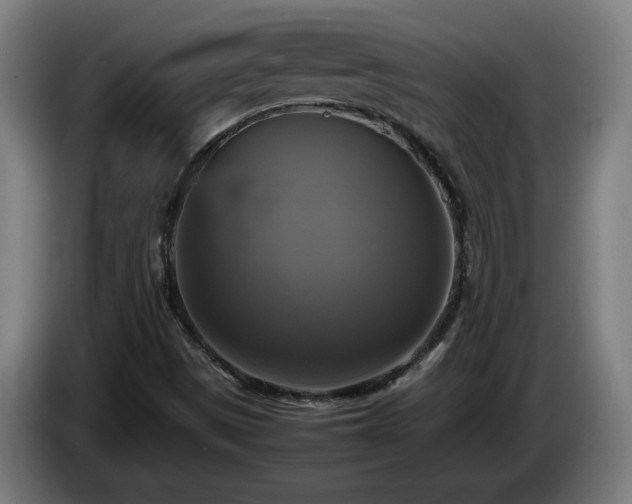 X0000086761497200704201735