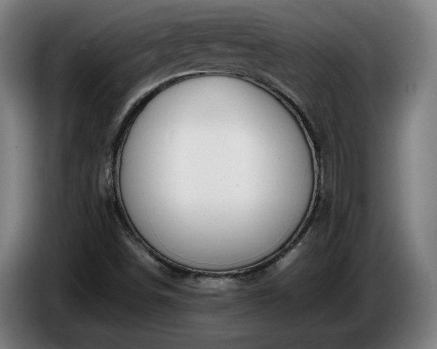 X0000086761498200704201735
