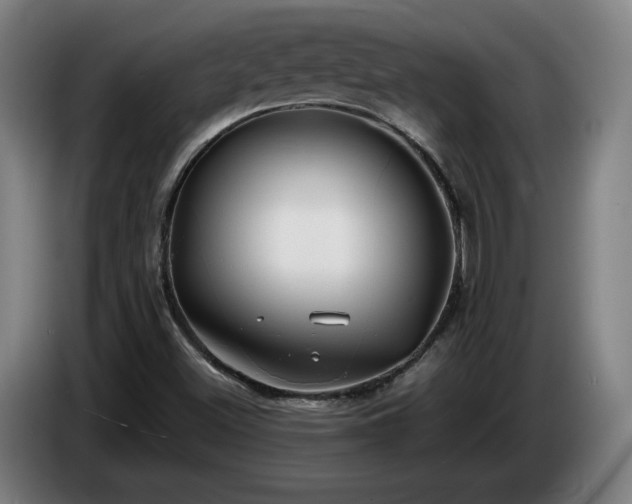 X0000086761500200704201735
