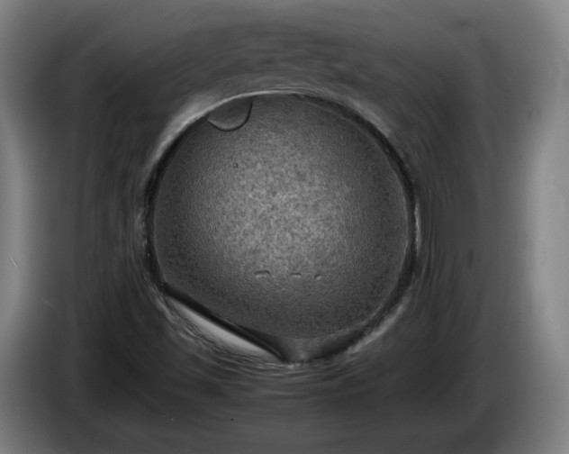 X0000086761501200704201735