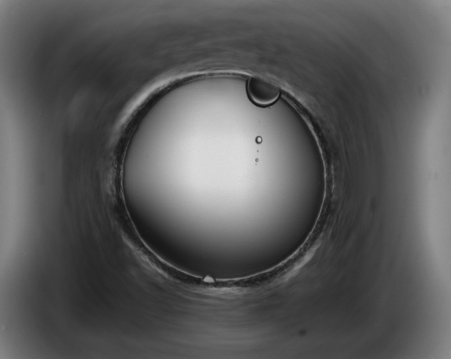 X0000086761502200704201735