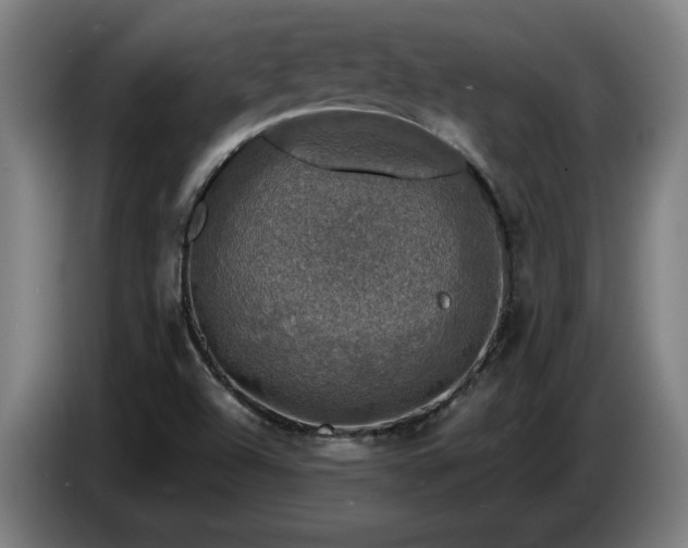 X0000086761504200704201735