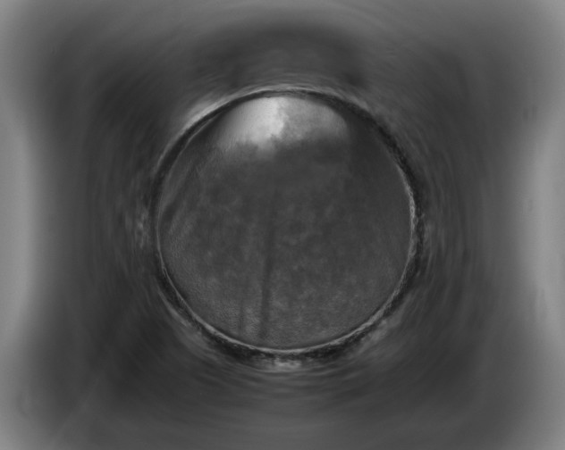 X0000086761505200704201735