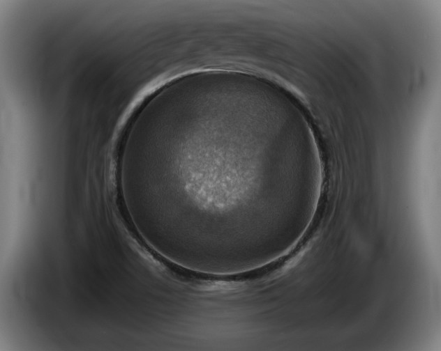 X0000086761506200704201735