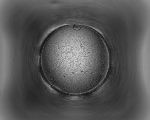 X0000086761507200704201735