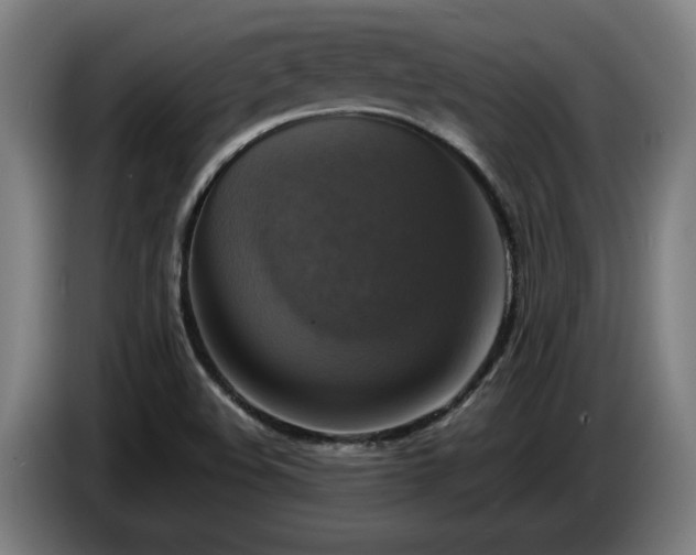 X0000086761508200704201735