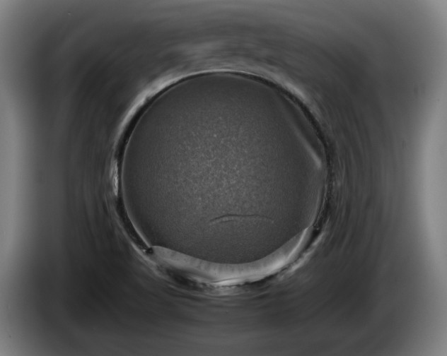 X0000086761509200704201735