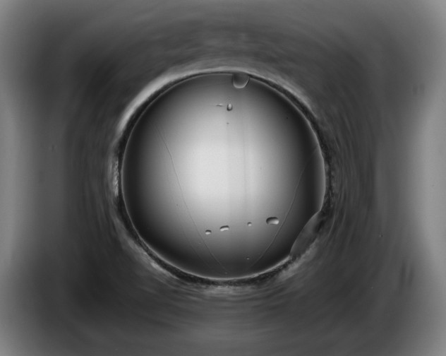 X0000086761510200704201735