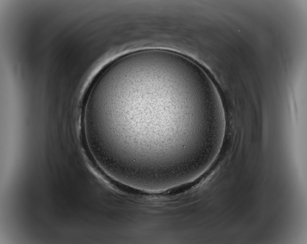 X0000086761511200704201735