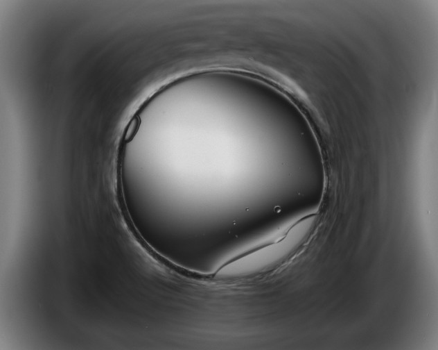 X0000086761512200704201735