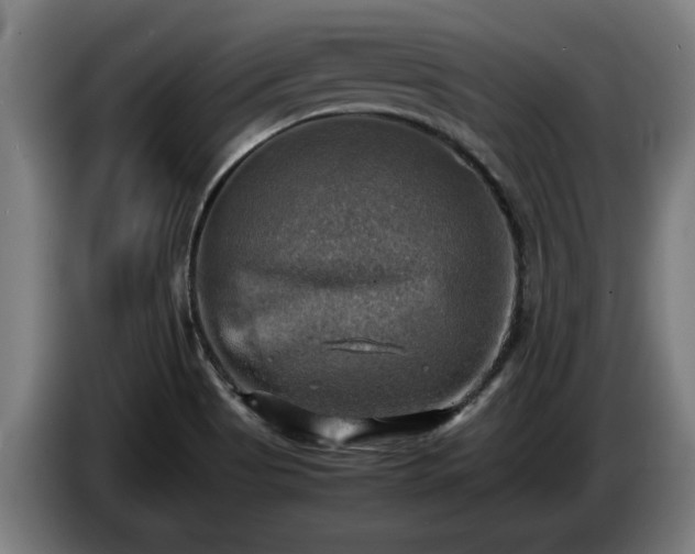 X0000086761513200704201735