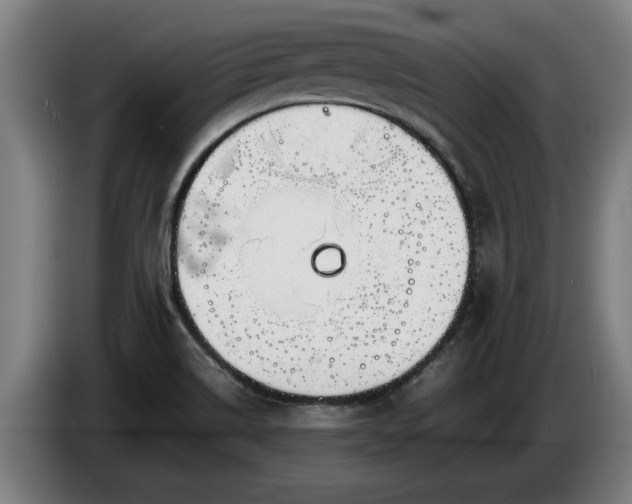 X0000086761514200704201735