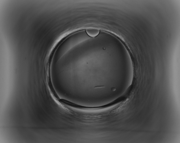 X0000086761515200704201735