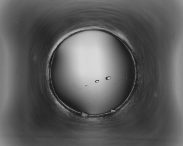 X0000086761516200704201735