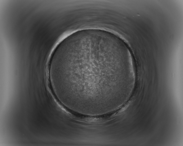 X0000086761517200704201735