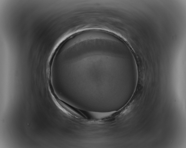 X0000086761519200704201735