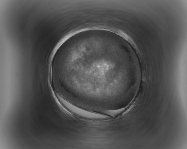 X0000086761520200704201735